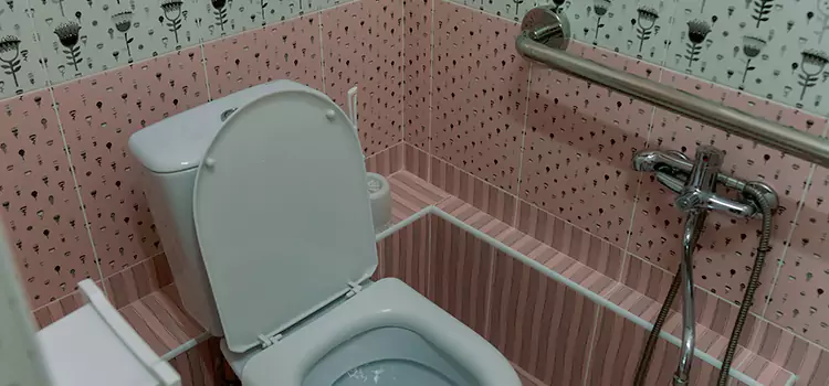 Meeting Diverse Needs With Accessible Restroom Solutions in Pasadena, MD